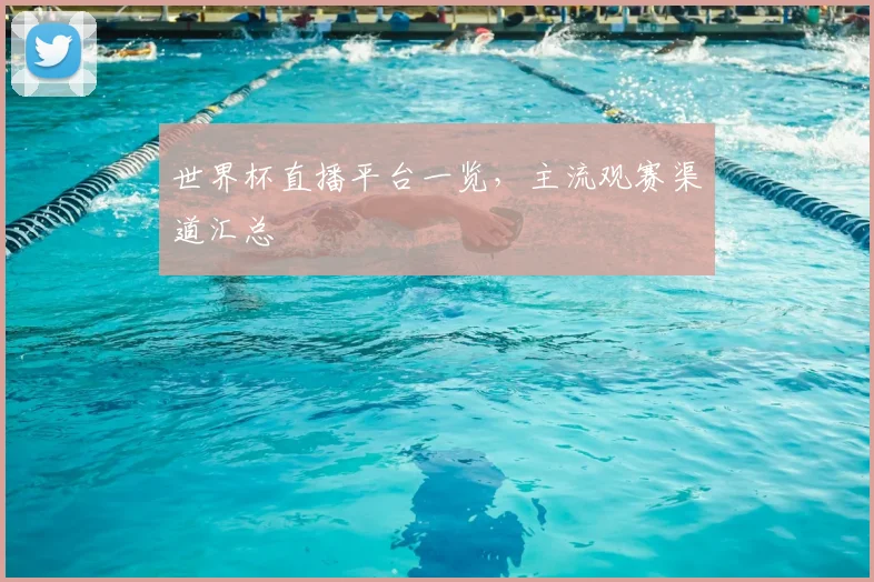 世界杯直播平台一览,主流观赛渠道汇总