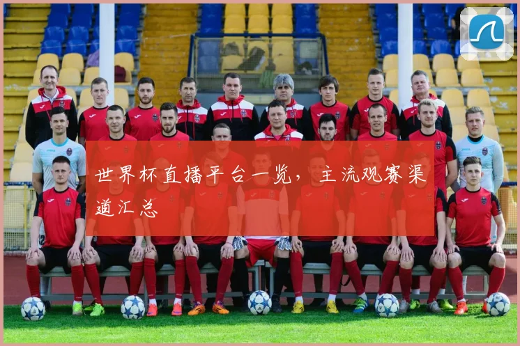 世界杯直播平台一览,主流观赛渠道汇总